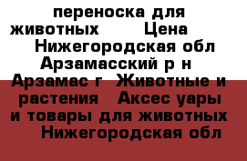 переноска для животных big › Цена ­ 1 100 - Нижегородская обл., Арзамасский р-н, Арзамас г. Животные и растения » Аксесcуары и товары для животных   . Нижегородская обл.